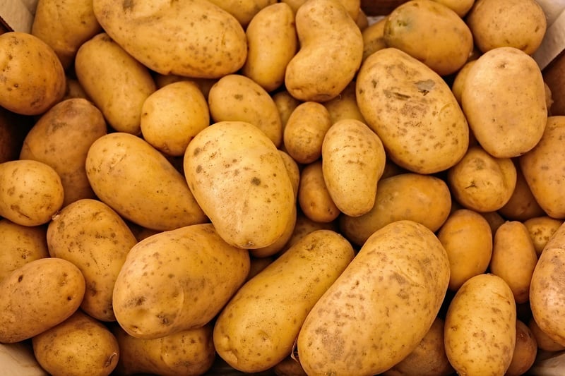Zero-Waste Cooking